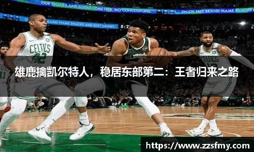 VSport-胜利因您更精彩