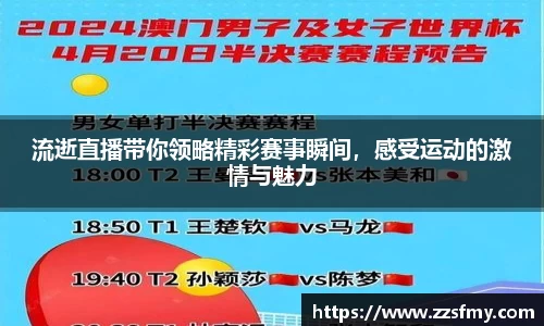 V体育