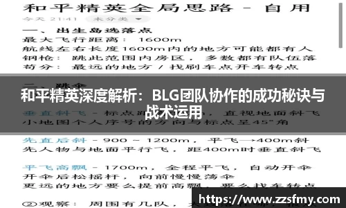 VSport-胜利因您更精彩