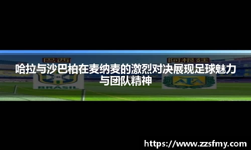VSport-胜利因您更精彩