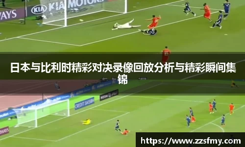 VSport-胜利因您更精彩